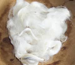 Natural Wool Fibre